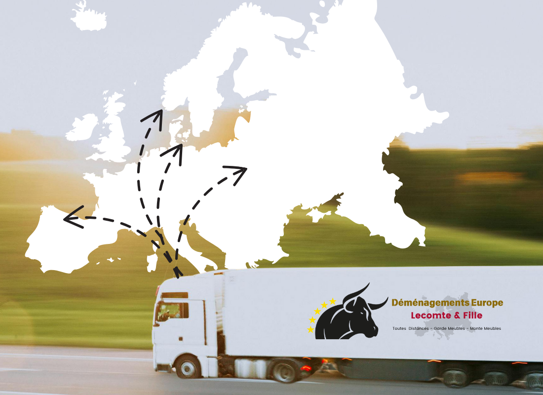 <center> <img src=https://pg02.thonon-web.com/files/319/70-ans-experience.png></center>
<br>
<center>Dmnagez en toute srnit de Haute-Savoie jusqu'en Corse et dans toute l'Europe</center> .